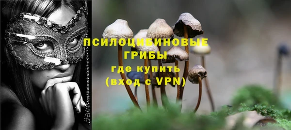 гидропоника Протвино