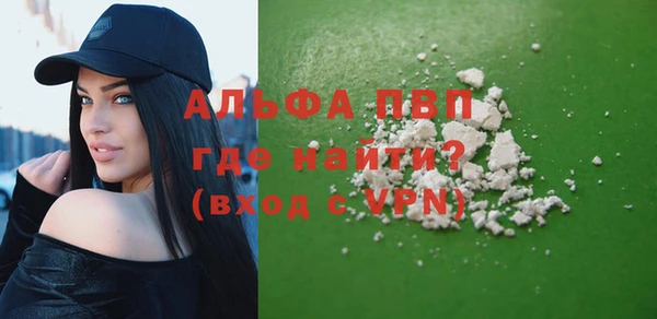 PSILOCYBIN Балабаново