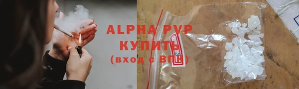 PSILOCYBIN Балабаново