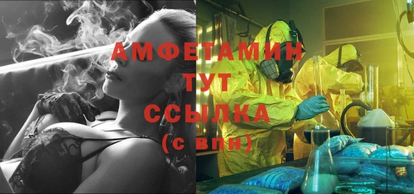 PSILOCYBIN Балабаново