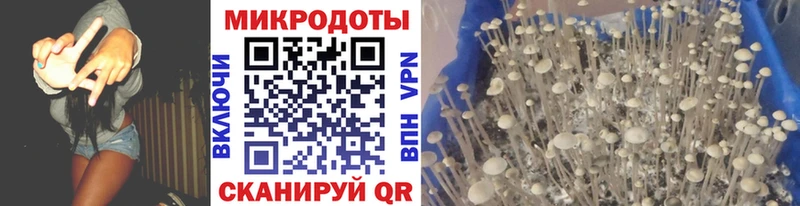 Галлюциногенные грибы GOLDEN TEACHER  Купить закладки  Давлеканово 